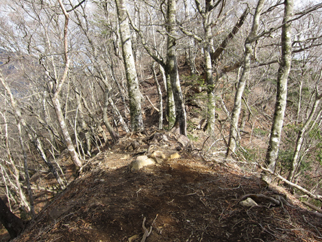 20200110hike (237)
